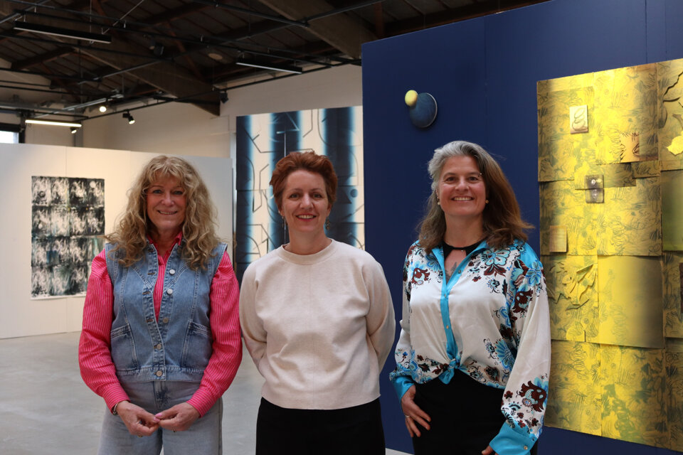 Visual Thinking Strategies (VTS)