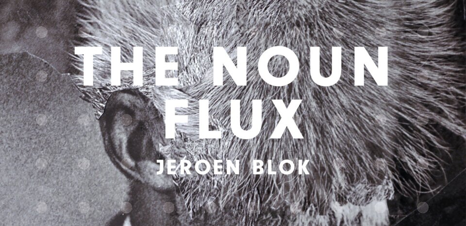The noun flux