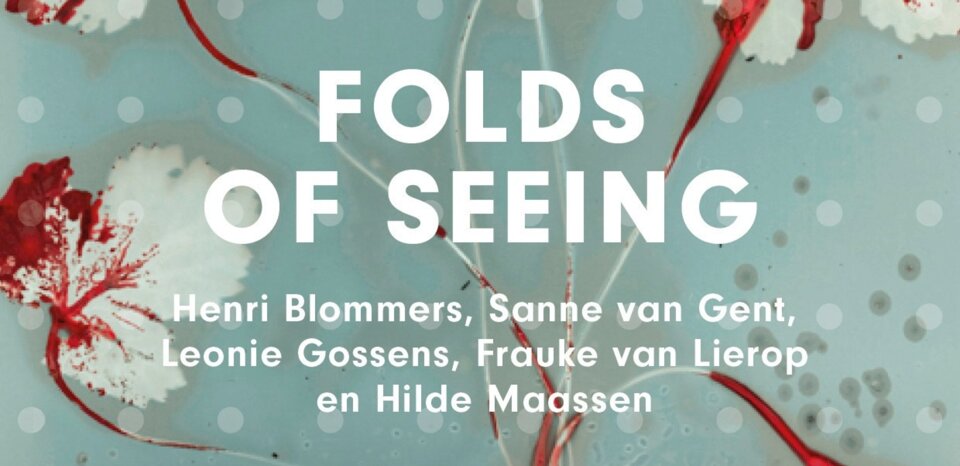 Folds of Seeing